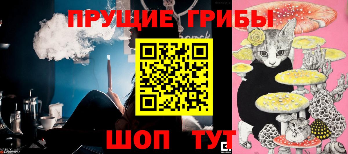 Галлюциногенные грибы MAGIC MUSHROOMS Гулькевичи